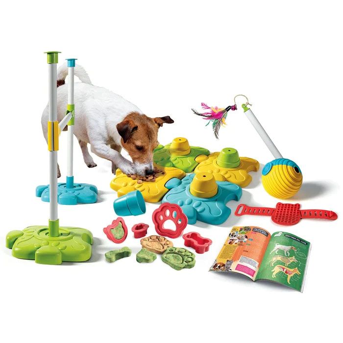 CLEMENTONI SCIENCE AND PLAY LAB - MY 4 LEGGED FRIENDS FOR A LIFE LONG FRIENDSHIP SCIENCE KIT