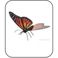 METAL EARTH MMS123 BUTTERFLIES MONARCH BUTTERFLY 3D MEATAL MODEL KIT