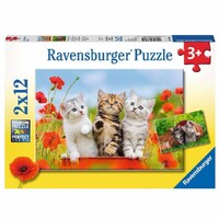 RAVENSBURGER 072620 KITTEN ADVENTURES 2x12PC JIGSAW PUZZLE