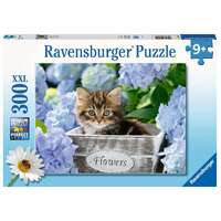 RAVENSBURGER 128945 TORTOISESHELL KITTY 300XXL PC JIGSAW PUZZLE