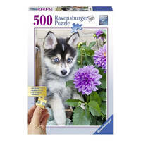 RAVENSBURGER PUZZLE 136827 CUTE HUSKY 500PC JIGSAW PUZZLE