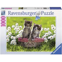 RAVENSBURGER 194803 PICNIC IN THE MEADOW 1000PC JIGSAW PUZZLE