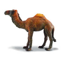 COLLECTA 88208 DROMEDARY CAMEL L