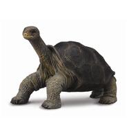 COLLECTA 88619 TORTOISE PINTA ISLAND (GEORGE) M