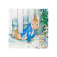 CRAFT BUDDY DIY CRYSTAL ART CARD KIT PETER RABBIT UNDER THE GATE 18CM X 18CM PARTIAL CRYSTAL