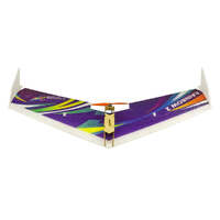 DANCING WINGS E06 FLYING WING II 1000MM WINGSPAN ARF WITH MOTOR, 20A ESC AND 9G SERVOS