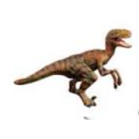 MODEL SERIES DINOSAUR VELOCIRAPTOR 16CM SERIES B