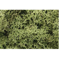 WOODLAND SCENICS L161 SPRING GREEN LICHEN 86.6IN3