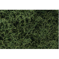 WOODLAND SCENICS L163 LICHEN MEDIUM GREEN