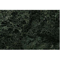 WOODLAND SCENICS L164 LICHEN DARK GREEN