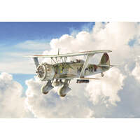 ITALERI 2819 HENSCHEL HS 123 1/48 SCALE PLANE PLASTIC MODEL KIT