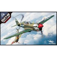 ACADEMY 13241 USAAF P-40N BATTLE OF IMPHAL 1/48 SCALE PLASTIC MODEL KIT