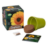 MRS GREEN GIANT SUNFLOWER KIT