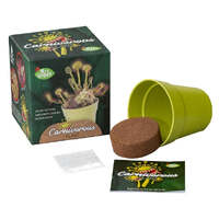 MRS GREEN CARNIVOROUS PLANT KIT