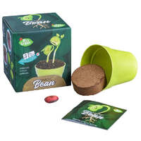 MRS GREEN MAGIC BEAN KIT - DINOSAUR