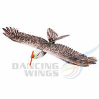 DANCING WINGS E15 MINI EAGLE ARF WITH MOTOR, 20A ESC AND 9G SERVOS