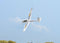 ARROWS HOBBY 2000MM WINGSPAN SZD-54 PNP PLUG AND PLAY POWERED  RC GLIDER