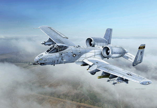 ITALERI 2725  THUNDERBOLT A-10C WARTHOG BLACKSNAKES 163RD FLYING SQUAD 1/48 SCALE PLASTIC MODEL KIT