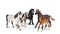 SCHLEICH 72113 FARM WORLD  5 HORSES COLLECTORS PACK