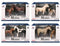 MODEL SERIES 154534 FARM ANIMALS HORSE AND FOAL SET OLDENBURG STALLION