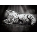 CLEMENTONI 39422 HIGH QUALITY COLLECTION KITTY 1000PC JIGSAW PUZZLE