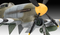 REVELL 03851 ROYAL AIR FORCE HAWKER TEMPEST MK.V 1/32 SCALE PLASTIC MODEL KIT FIGHTER