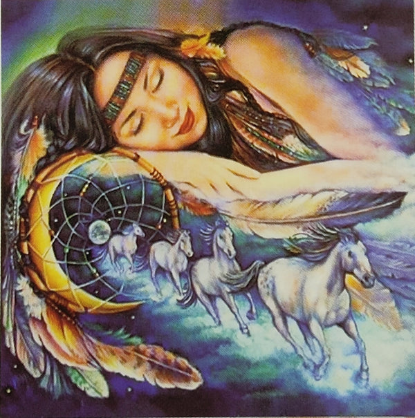 5D DIAMOND PICTURE - NATIVE WOMAN DREAM CASTER - HI STONE KIT 30CM X 30CM