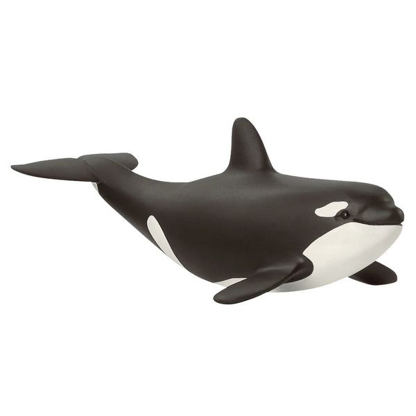 SCHLEICH SC14836 BABY ORCA