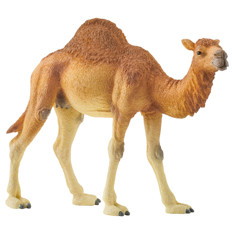 SCHLEICH SC14832 DROMEDARY