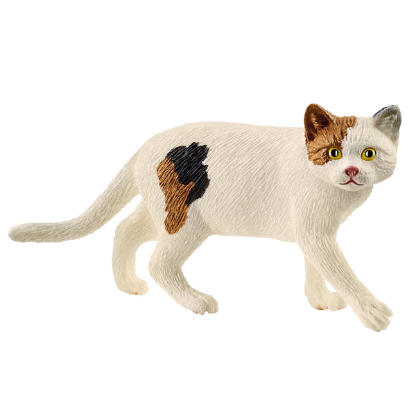 SCHLEICH SC13894 AMERICAN SHORTHAIR CAT