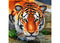 CRAFT BUDDY DIY CRYSTAL ART CARD KIT TIGER 18CM X 18CM PARTIAL CRYSTAL