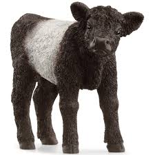 SCHLEICH 13969 GALLOWAY CALF