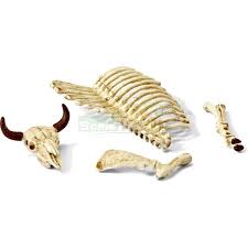 SCHLEICH 42249 WORLD OF NATURE BONES