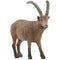 SCHLEICH 14873 IBEX