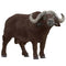 SCHLEICH 14872 AFRICAN BUFFALO