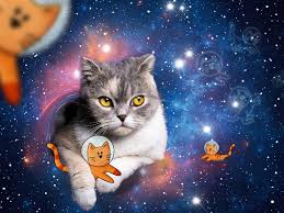 RAVENSBURGER 174393 CATS IN OUTER SPACE 1500 PIECE JIGSAW PUZZLE