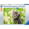 RAVENSBURGER 173785 KITTEN IN THE MEADOW 500PC JIGSAW PUZZLE