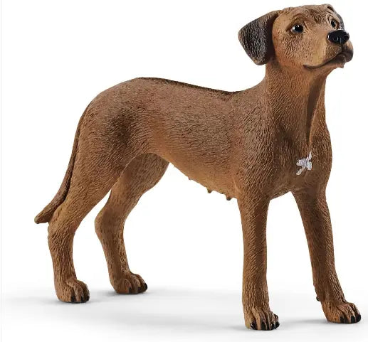 SCHLEICH SC13895 RHODESIAN RIDGEBACK