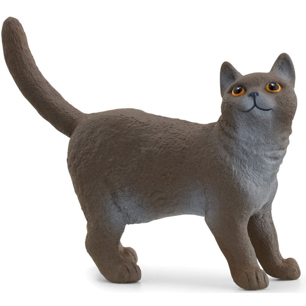 SCHLEICH 13973 BRITISH SHORTHAIR CAT