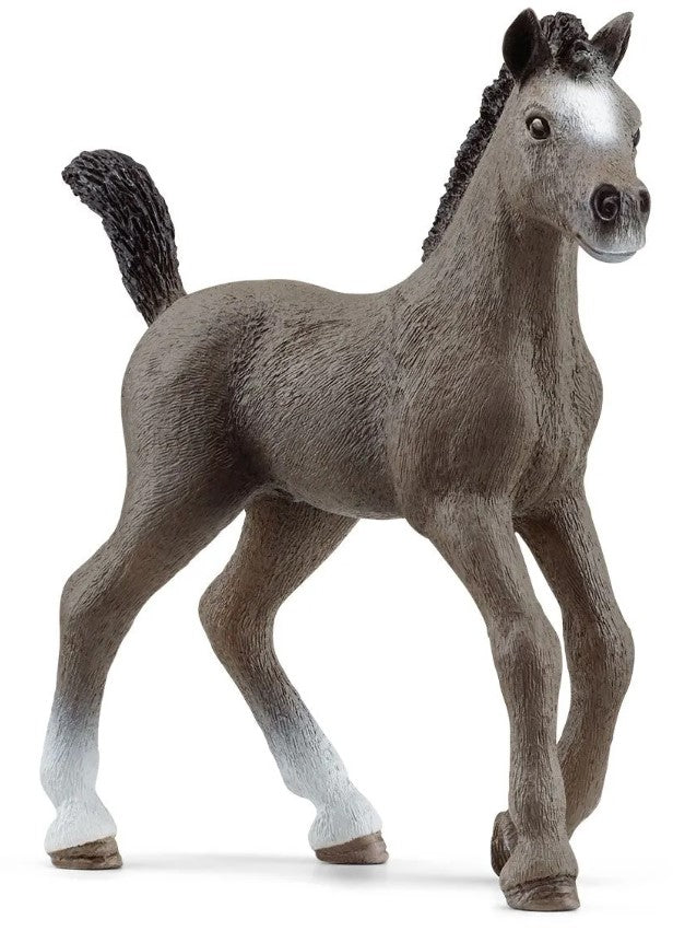 SCHLEICH 13957 HORSES SELLE FRANCAIS FOAL