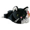 TY BEANIE BABIES ZIP II CAT REGULAR PLUSH