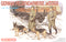 DRAGON 6098 GERMAN FELDENDARMERIE WITH DOGS PLASTIC MODEL KIT