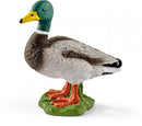 SCHLEICH 13824 DRAKE DUCK