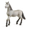 SCHLEICH 13924 PURA RAZA ESPANOLA YOUNG HORSE