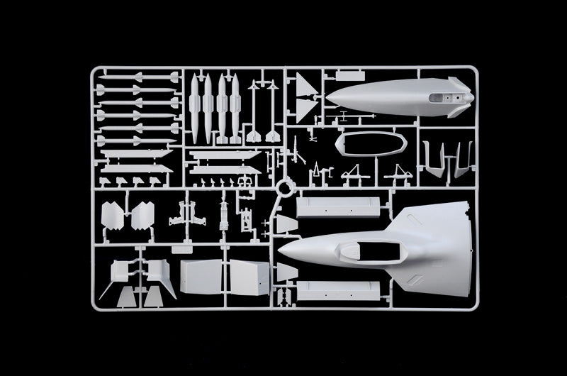 ITALERI 2822 F-22A RAPTOR 1/48 SCALE PLASTIC MODEL KIT