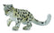COLLECTA 88497 SNOW LEOPARD CUB PLAYING M