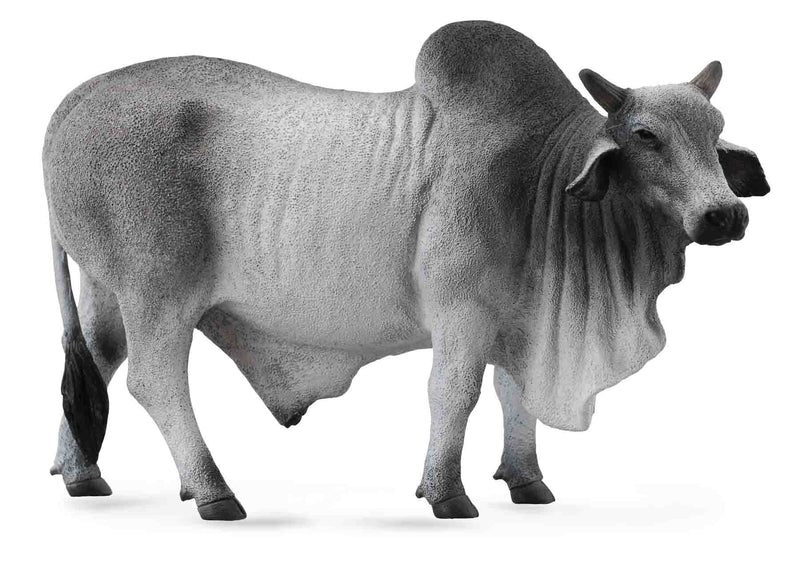 COLLECTA 88579 BRAHMAN BULL GREY L