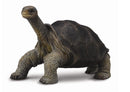 COLLECTA 88619 TORTOISE PINTA ISLAND (GEORGE) M