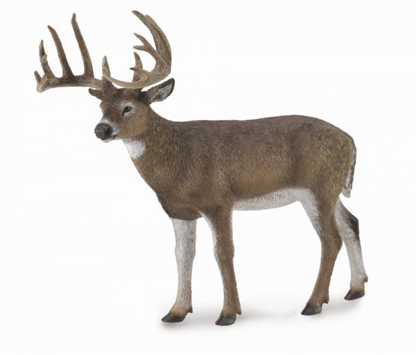 COLLECTA 88832 WHITE TAILED DEER L