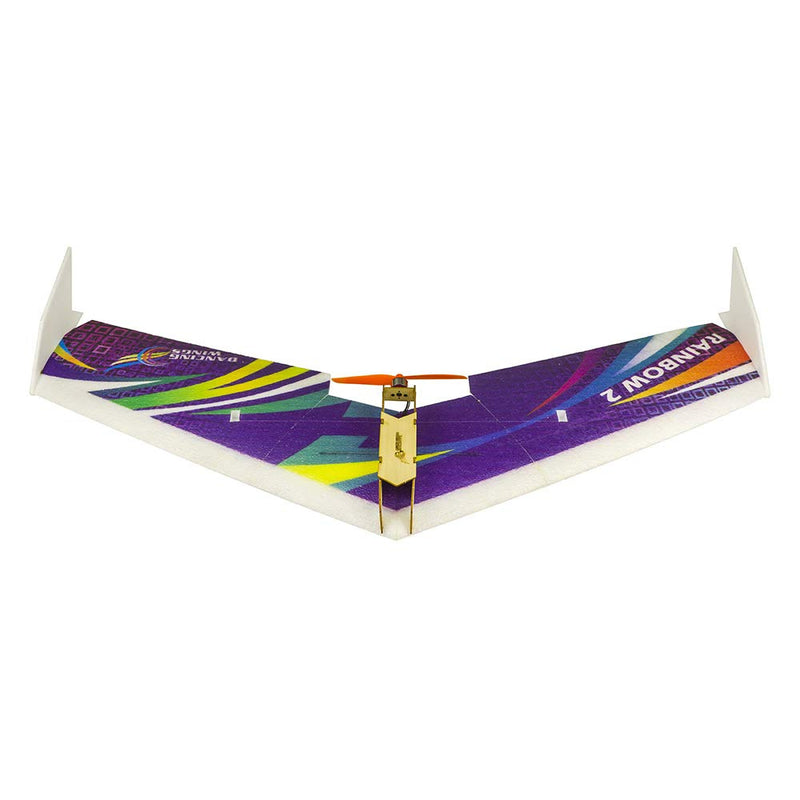 DANCING WINGS E06 FLYING WING II 1000MM WINGSPAN ARF WITH MOTOR, 20A ESC AND 9G SERVOS